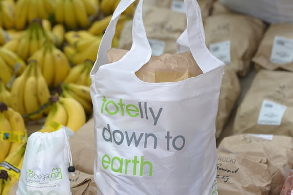 8 alternatives to plastic bags